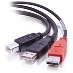 Cablestogo USB B/USB A Y-Cable (81578)